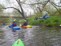 River Mole April 2015