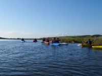 Cuckmere Trip