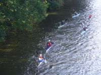 Elmbridge Hasler