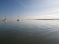 The Swale & Faversham Creek 6th October