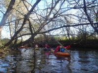 Tonbridge to Yalding Nov 15