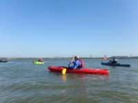 Estuary BBQ ~ Geoff's Pics