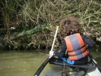 River Clean-Up 